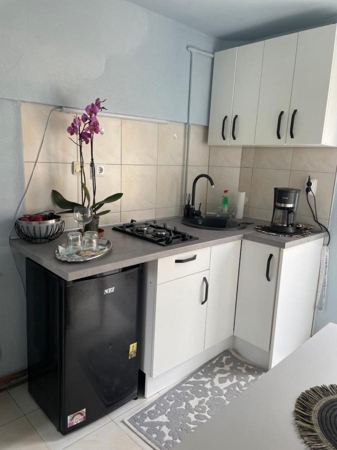 Garsoniera La Casa Apartment Тимишоара Екстериор снимка